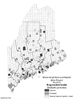Ring-necked Snake distribution map (PDF)